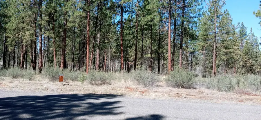 0 Stillwater Way #Lot 16, Chiloquin, OR 97624 - #2