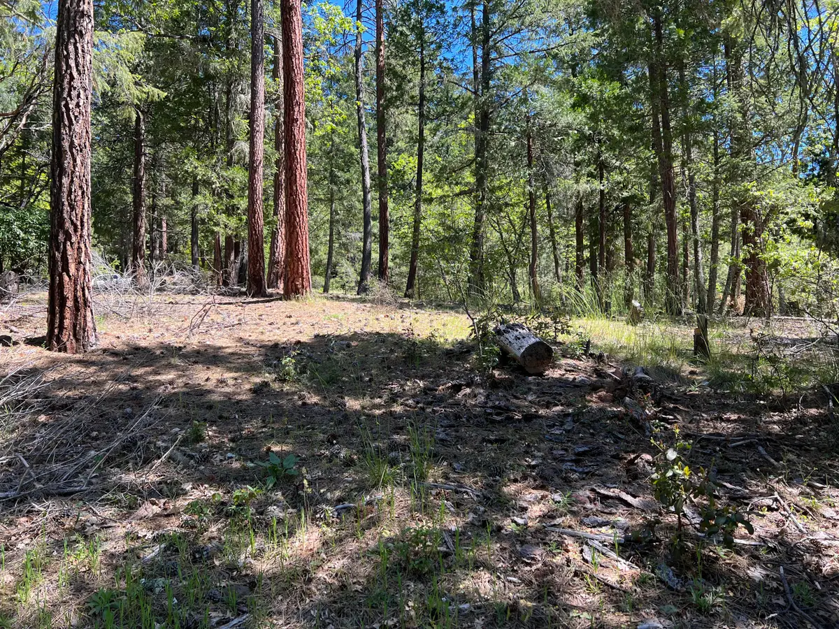 00347 Flounce Rock Rd, Prospect, OR 97536 - Image #1