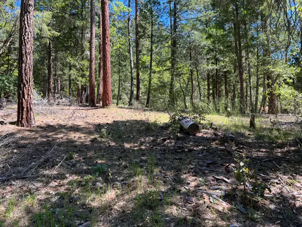 00347 Flounce Rock Rd, Prospect, OR 97536