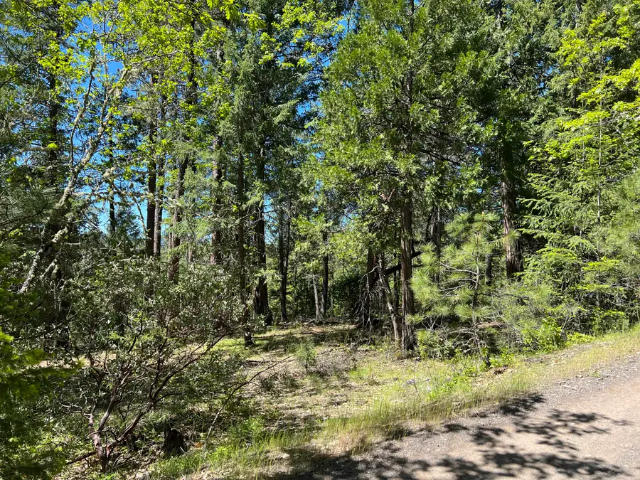 00347 Flounce Rock Rd, Prospect, OR 97536 - Image #3