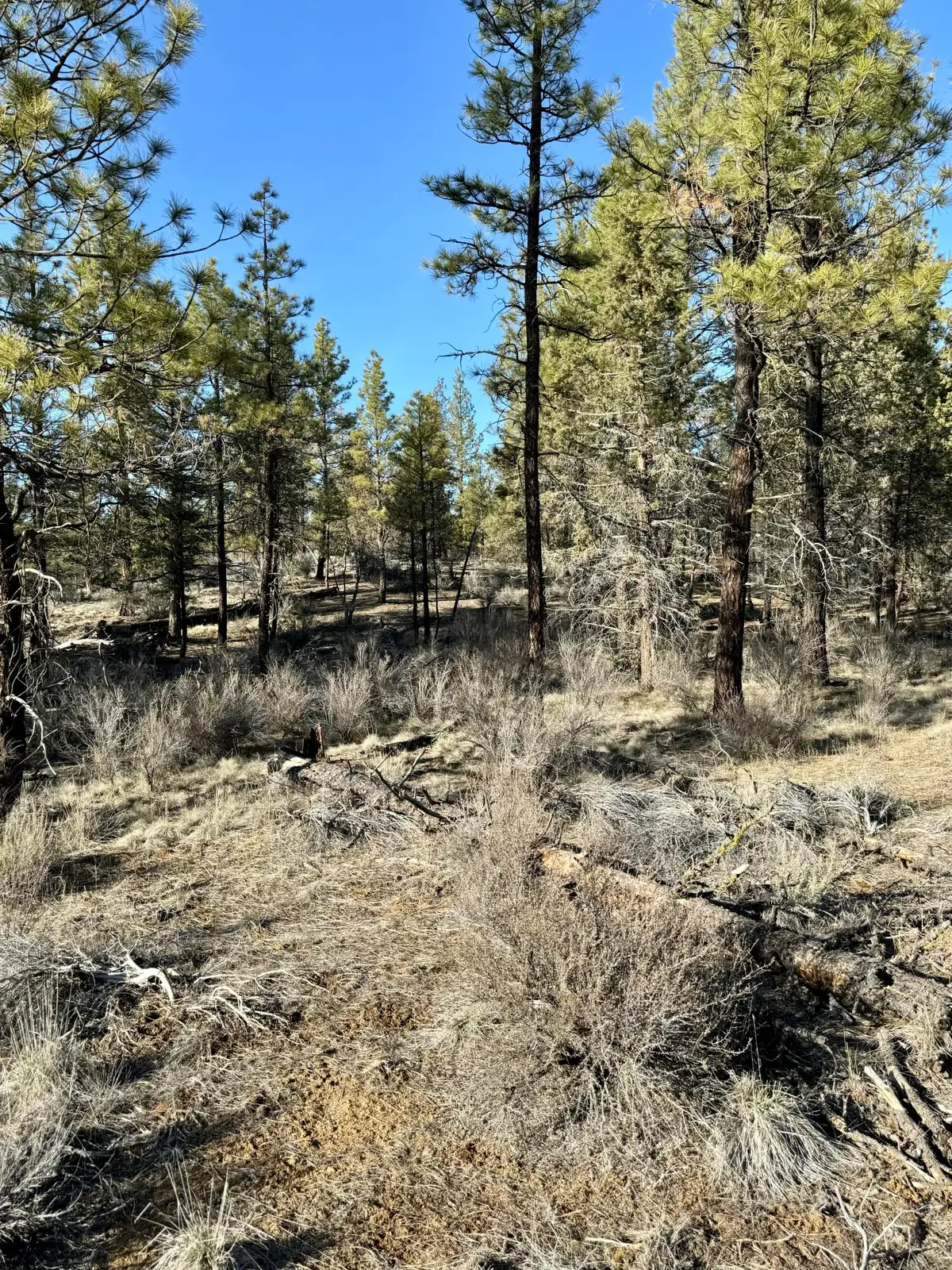 0 Tepee Lane #3000, Chiloquin, OR 97624 - #1