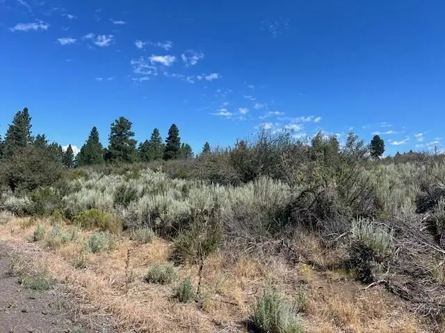 Wrightwood #Lot 16, Chiloquin, OR 97624 - #2