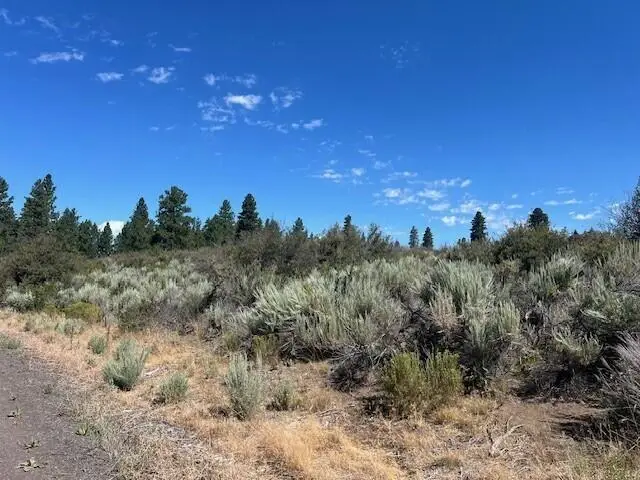 Wrightwood #Lot 16, Chiloquin, OR 97624 - #3