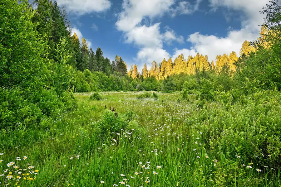 50000 Hwy 62, Prospect, OR 97536 - #2