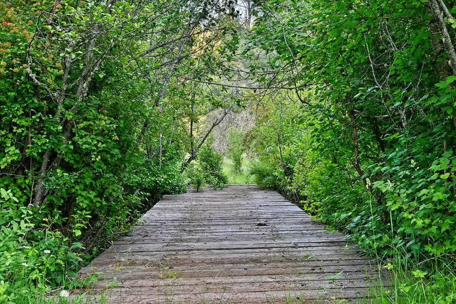 50000 Hwy 62, Prospect, OR 97536 - #3