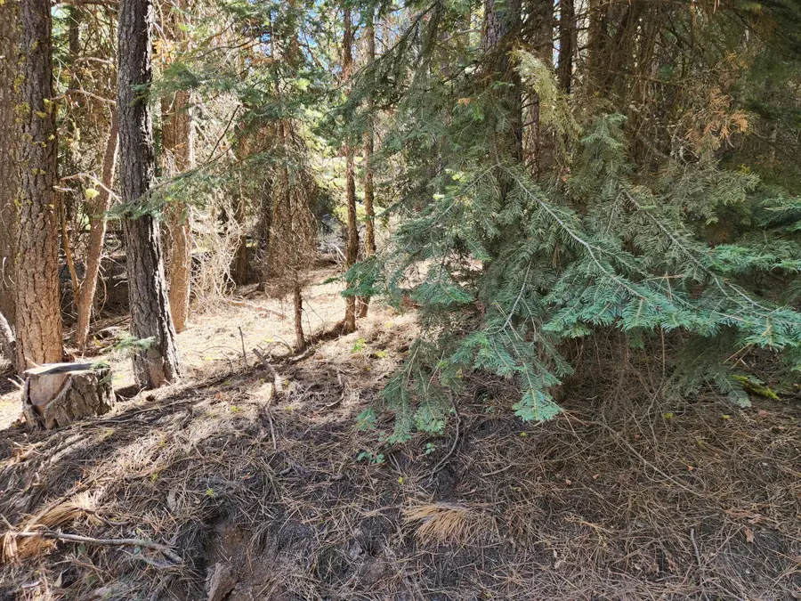 Kodiak, Bonanza, OR 97623 - Image #3