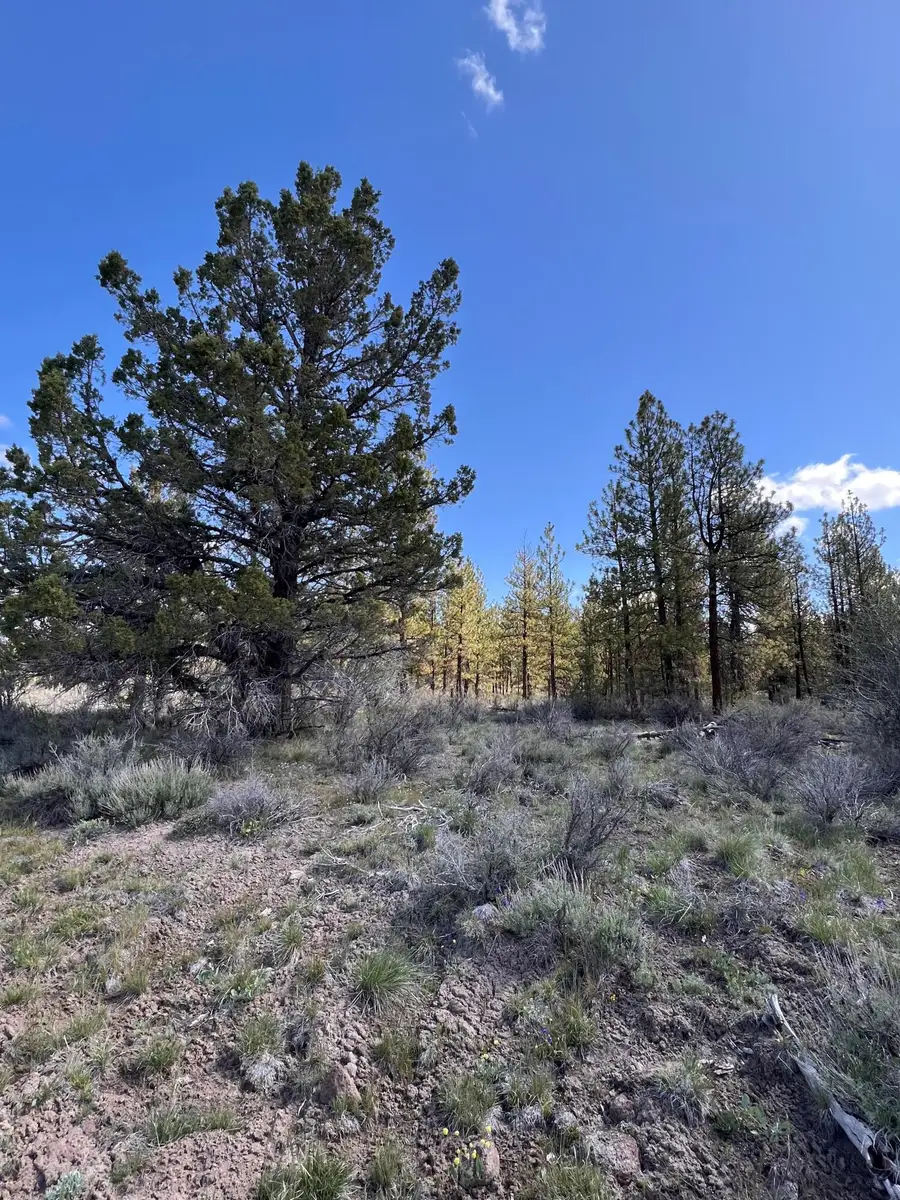 Glendale, Beatty, OR 97621 - Image #2