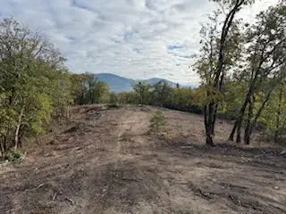 Merlin Sanitarium Road #Lot 10, Merlin, OR 97532 - #1