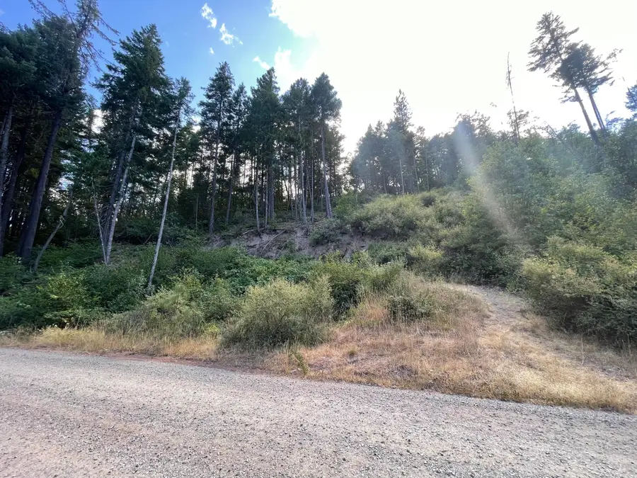 Loper Lane, Trail, OR 97541 - #3