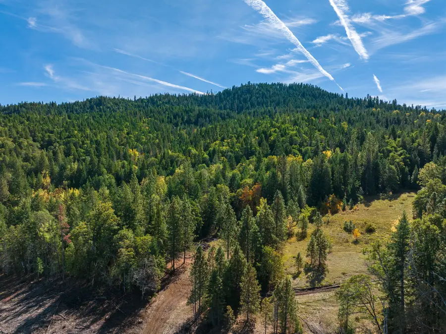 0 Long Branch Spur, Eagle Point, OR 97524 - Image #2