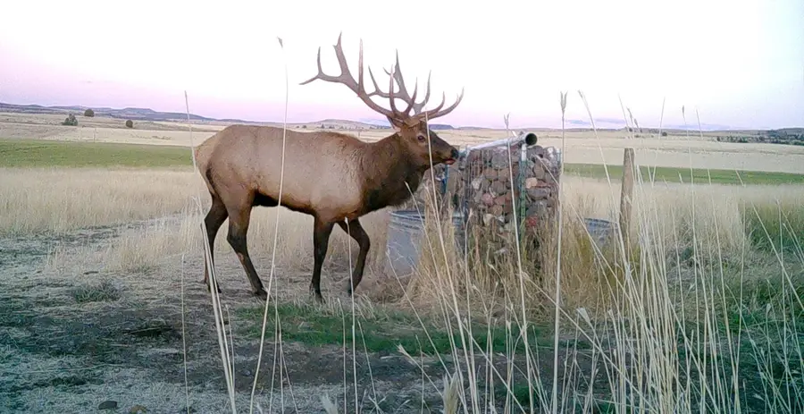 91355 Hwy 293, Antelope, OR 97001 - Image #3