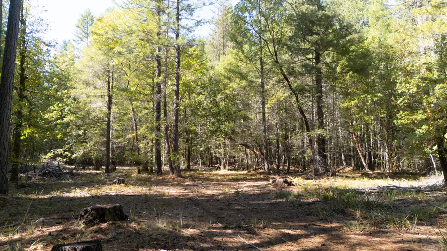 1195 Idlewild, Cave Junction, OR 97523 - Image #2