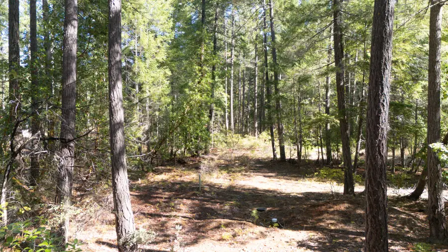 1195 Idlewild, Cave Junction, OR 97523 - Image #3