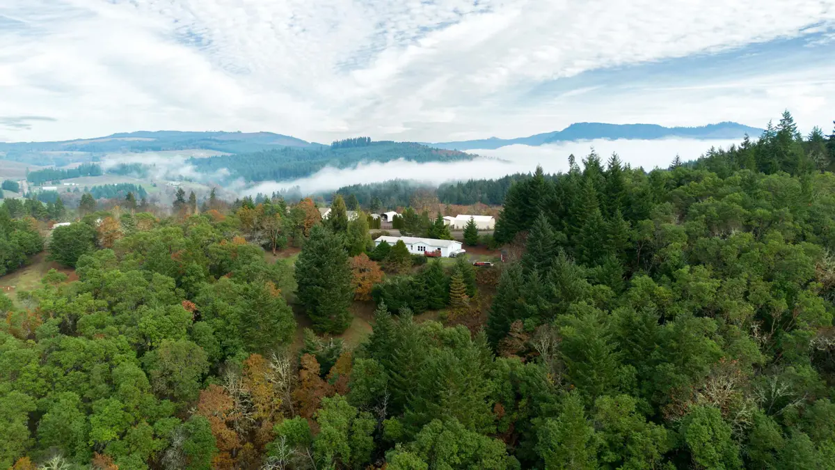 5290 Goodrich, Oakland, OR 97462 - Image #1