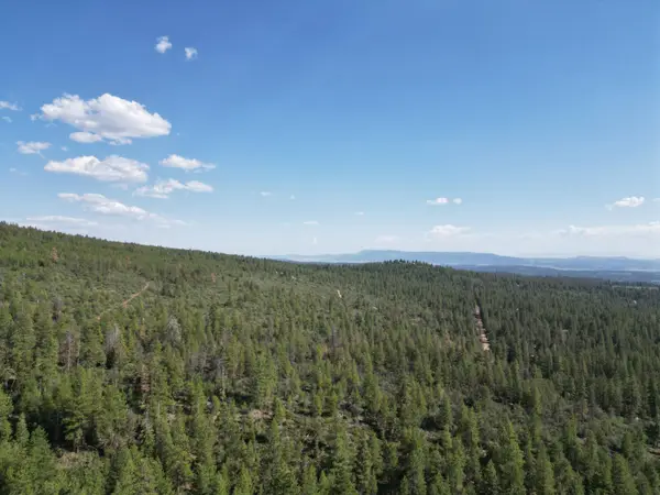Sandpiper, Beatty, OR 97621