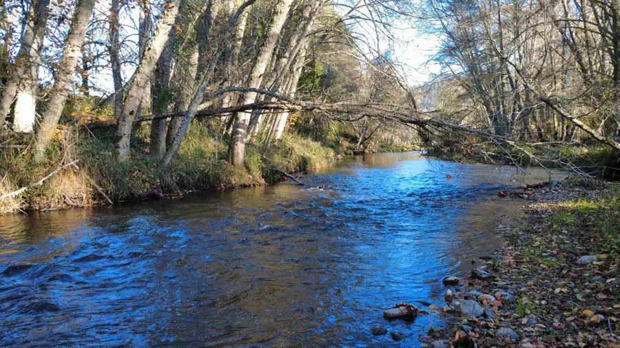 188 Pisqually Lane, Azalea, OR 97410 - #2