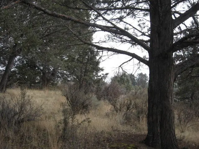 Drews, Sprague River, OR 97639 - Image #2