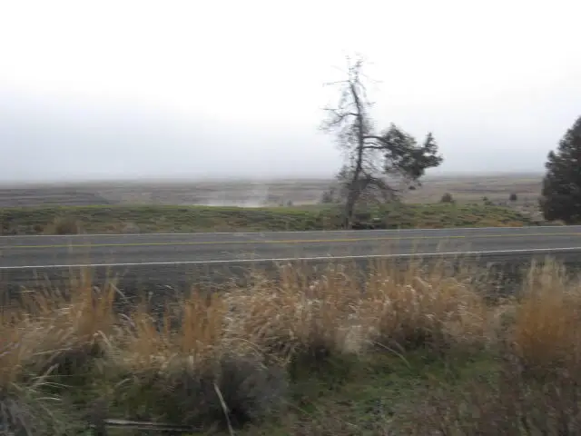 Drews, Sprague River, OR 97639 - Image #3