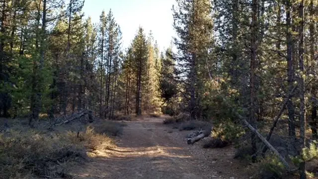 4800 Bear Flat (nf 86), Chemult, OR 97731 - Image #1