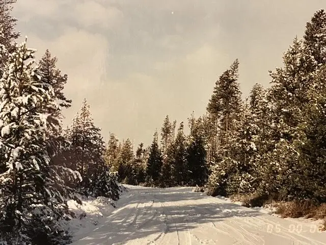 4800 Bear Flat (nf 86), Chemult, OR 97731 - Image #3