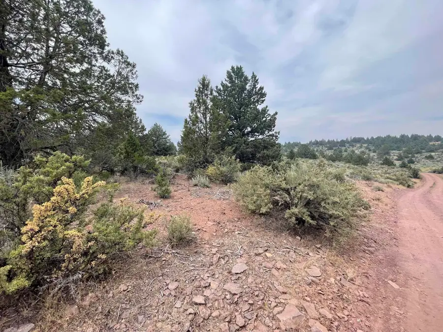 Harney St, Sprague River, OR 97639 - Image #2