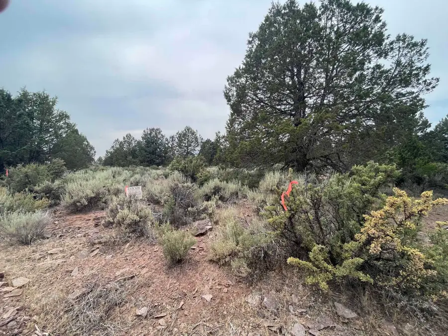 Harney St, Sprague River, OR 97639 - Image #3