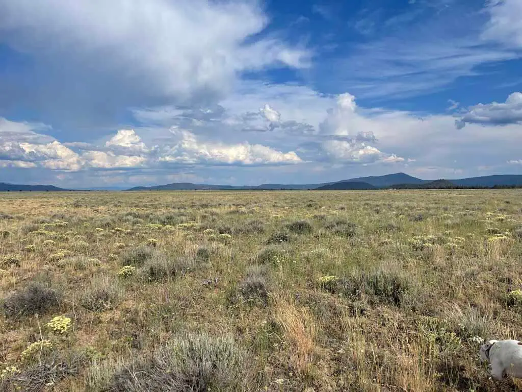 Tableland Road, Chiloquin, OR 97624 - Image #1