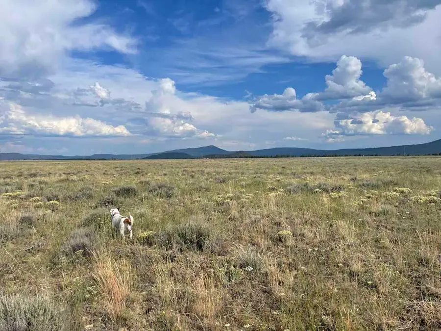 Tableland Road, Chiloquin, OR 97624 - Image #3