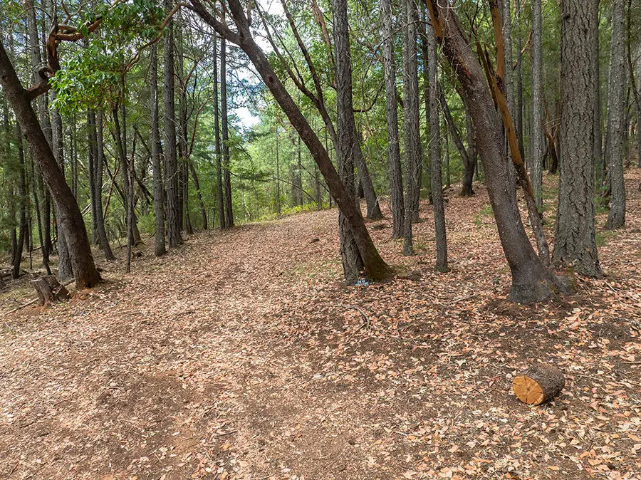 614 Thornbrook, Merlin, OR 97532 - Image #2