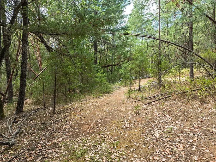 614 Thornbrook, Merlin, OR 97532 - Image #3