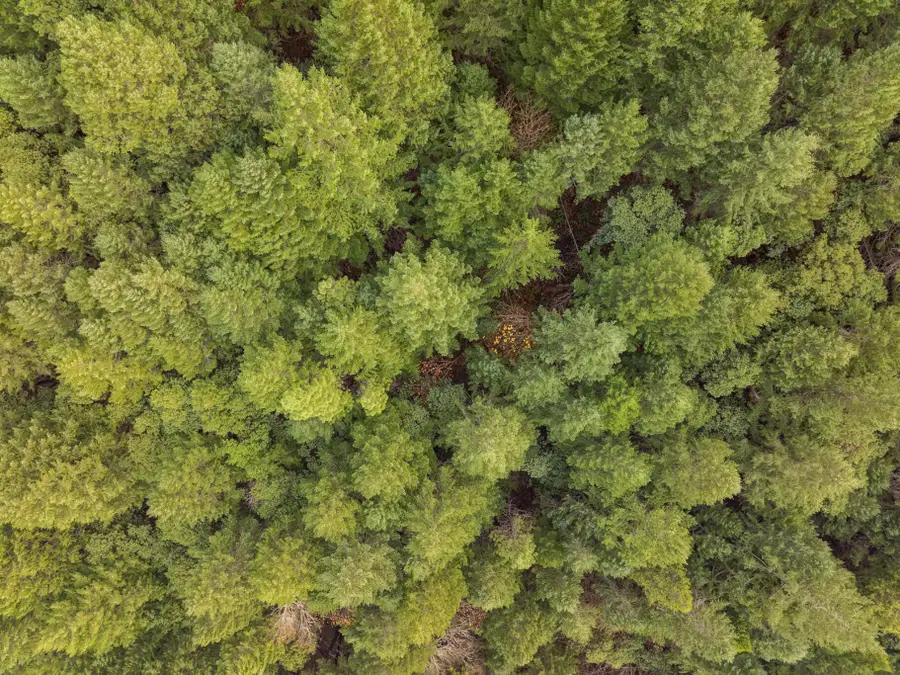 0 Sunny Valley Loop, Wolf Creek, OR 97497 - Image #2