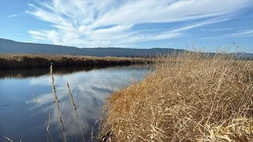 29630 Clearwater, Sprague River, OR 97639 - Image #3