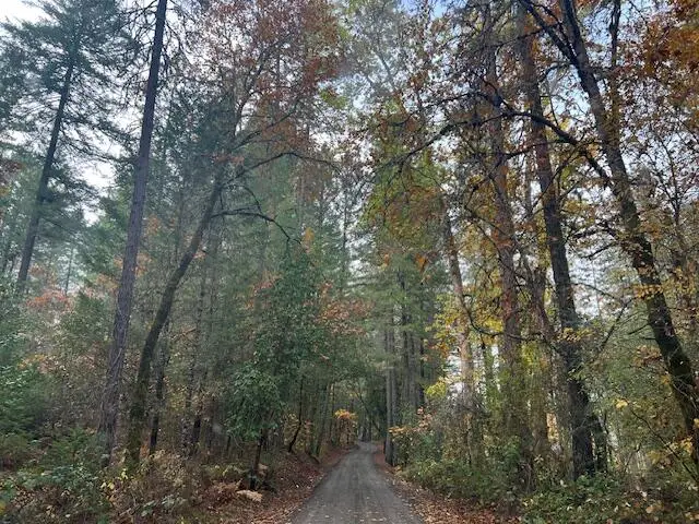 4184 E Evans Creek, Rogue River, OR 97537 - Image #3