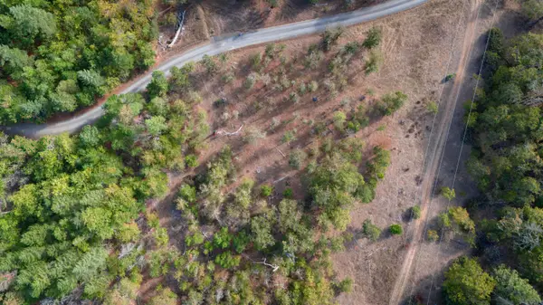 6715 W Side, Cave Junction, OR 97523