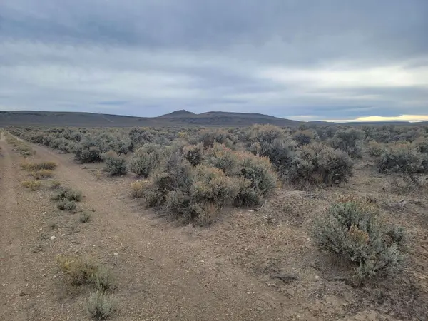 Christmas Valley Highway, Christmas Valley, OR 97641