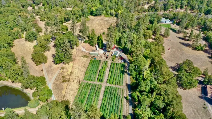 6534 Tunnel Loop, Grants Pass, OR 97526 - Image #2