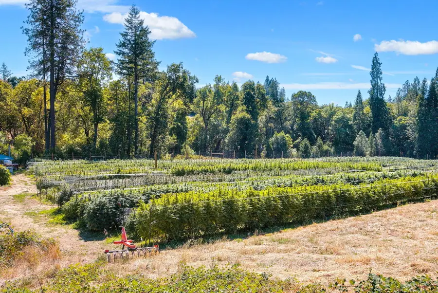 6534 Tunnel Loop, Grants Pass, OR 97526 - Image #3