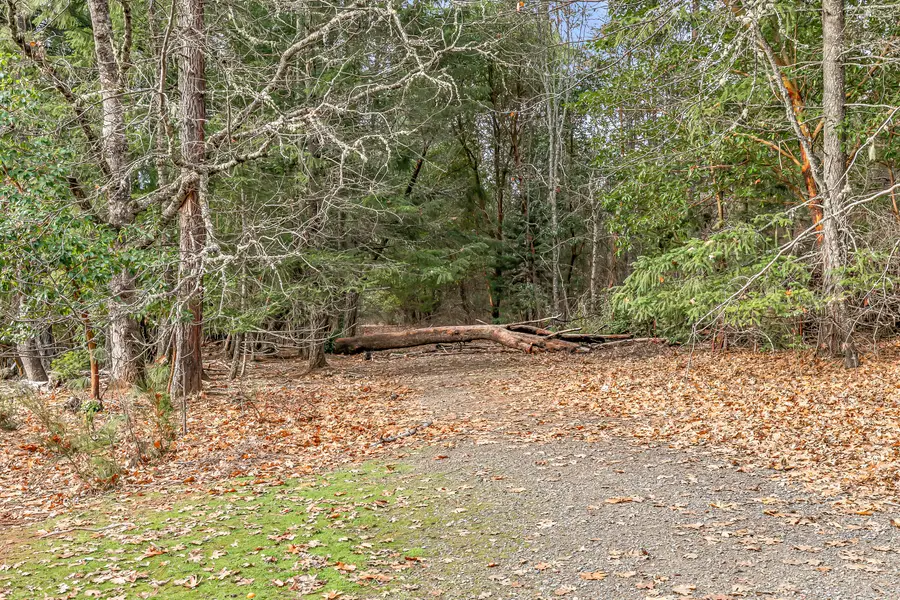 580 W River, Cave Junction, OR 97523 - Image #3