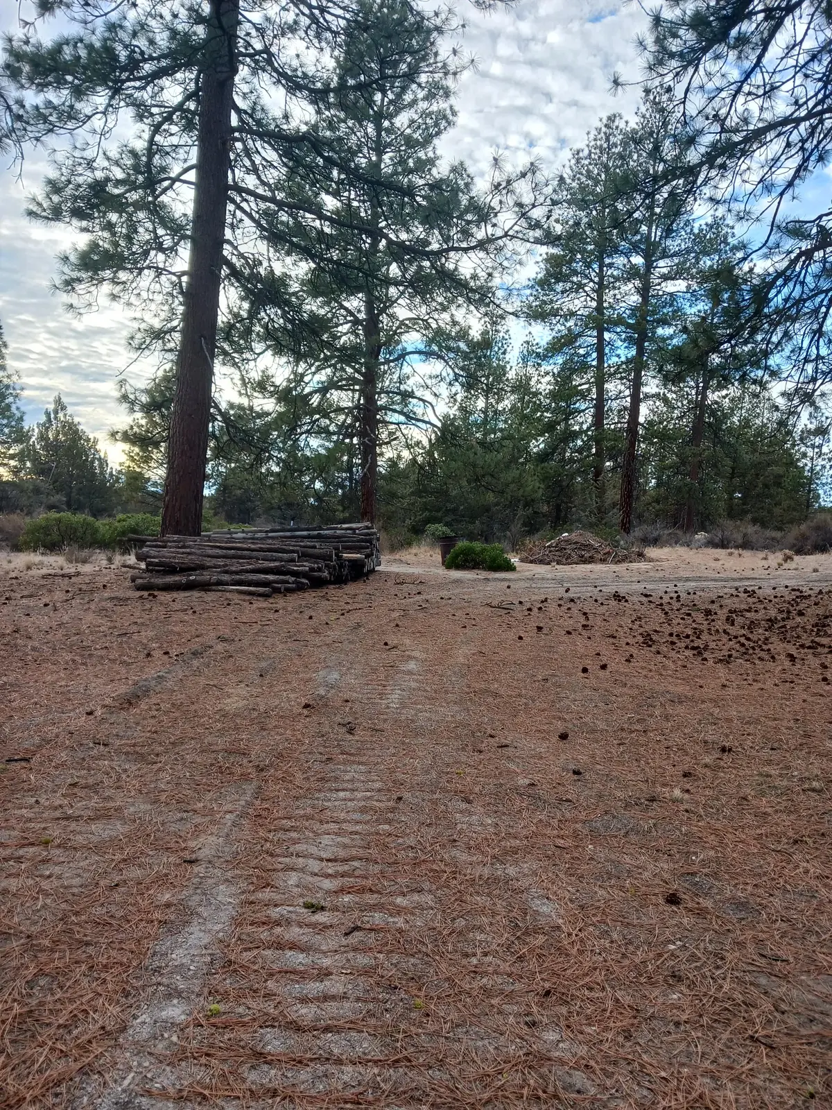 0 Charlpine, Chiloquin, OR 97624 - Image #1