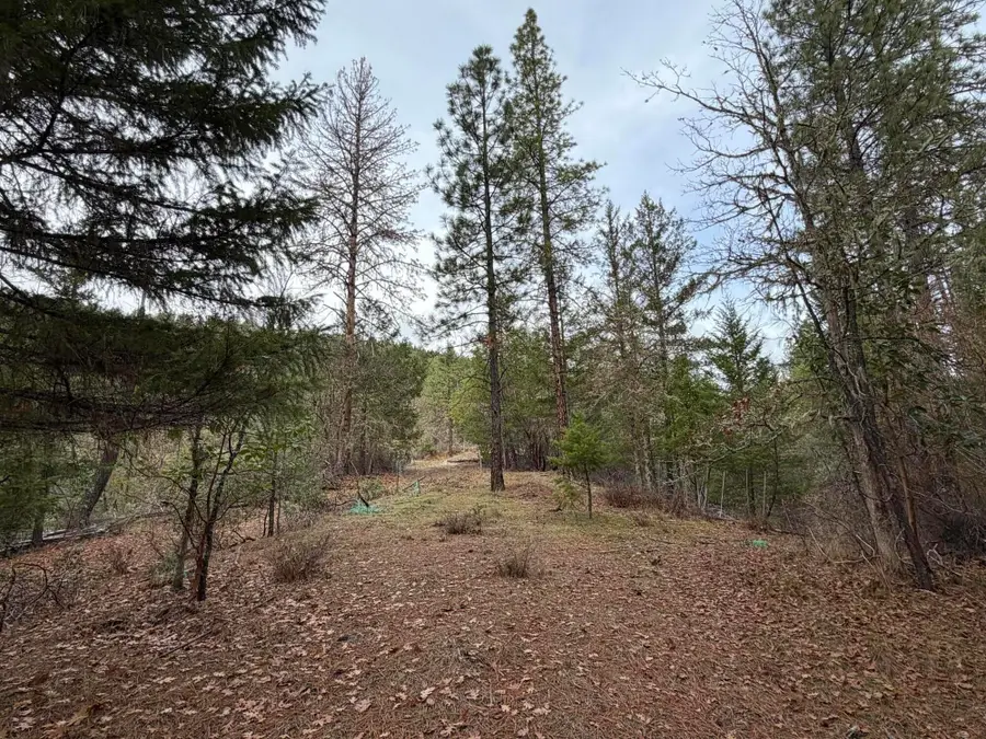 0 E Evans Creek, White City, OR 97503 - Image #3