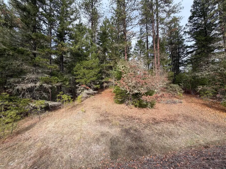 0 E Evans Creek, White City, OR 97503 - Image #3