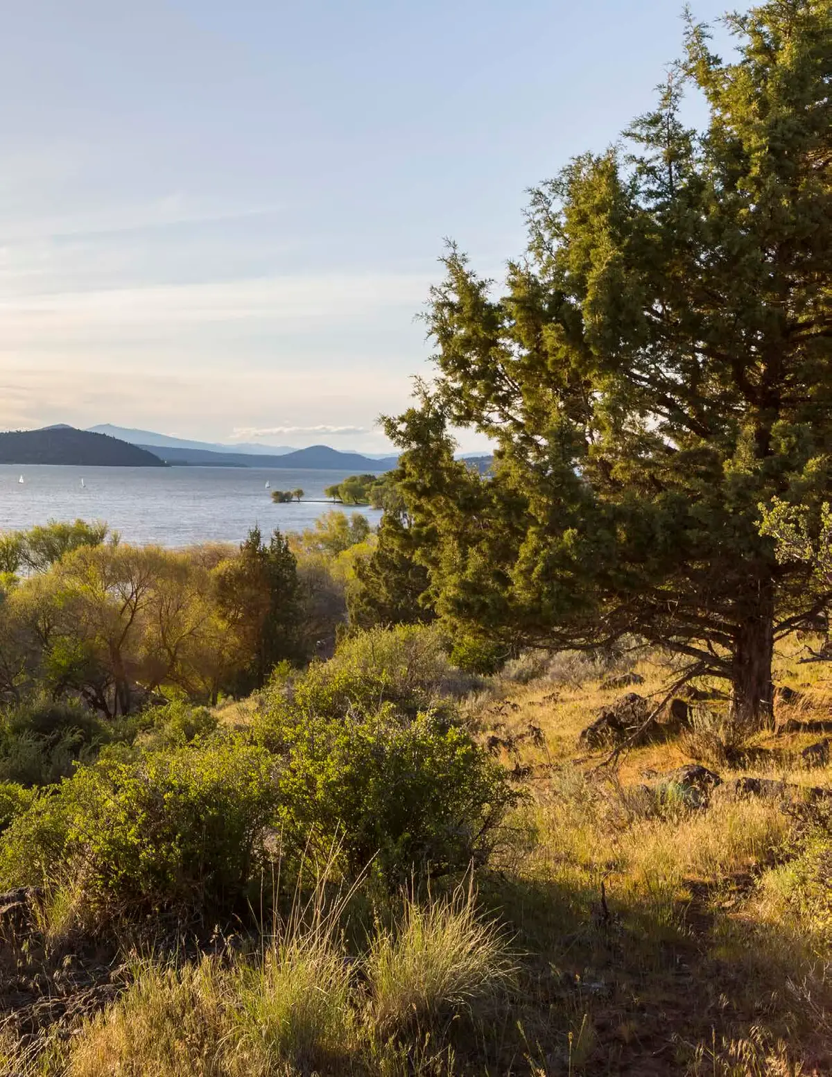 1047 Vine Maple, Klamath Falls, OR 97601 - Image #1