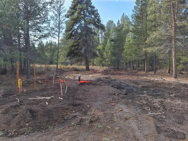 Brook Trout, Chiloquin, OR 97624