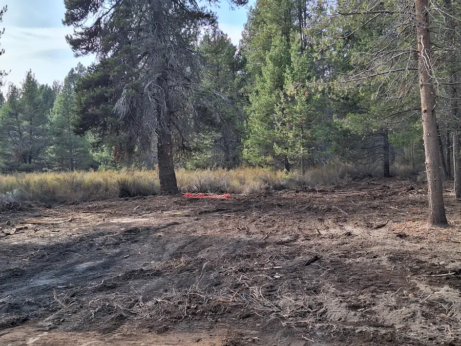 Brook Trout, Chiloquin, OR 97624 - Image #2