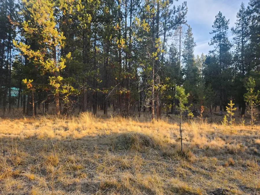 16818 Brenda, Bend, OR 97707 - Image #2