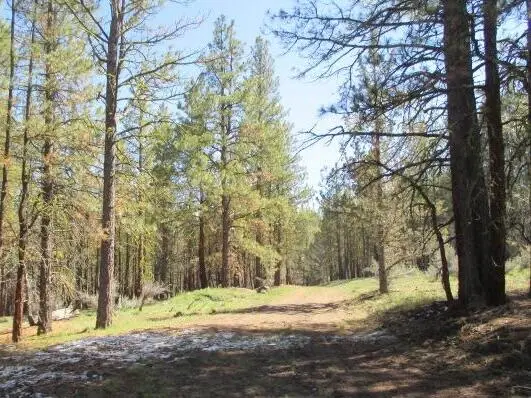 Partin Drive #2-3, Beatty, OR 97621 - Image #2