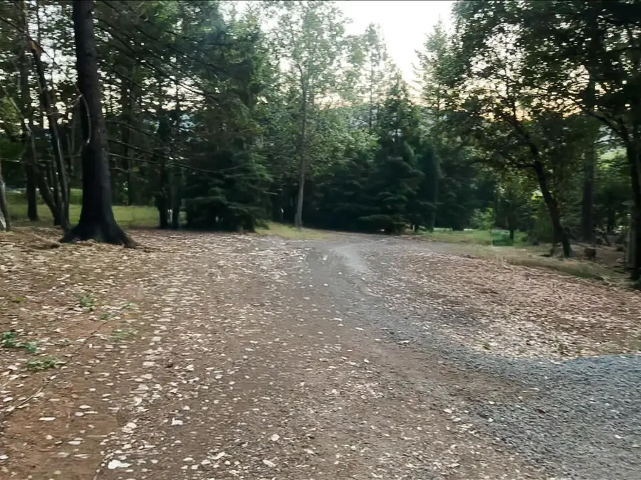 328 Hamilton, Cave Junction, OR 97523 - Image #2