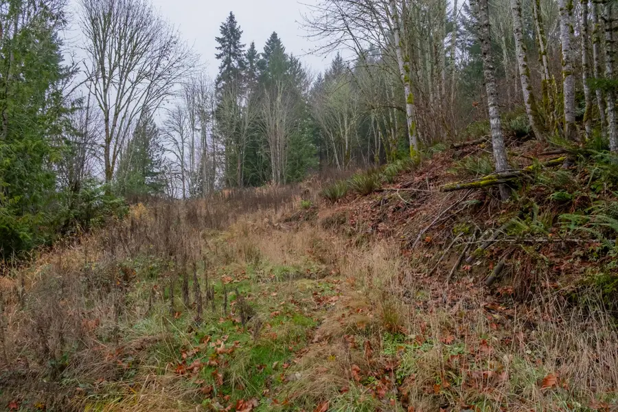 38353 SW Laurelwood, Gaston, OR 97119 - Image #3