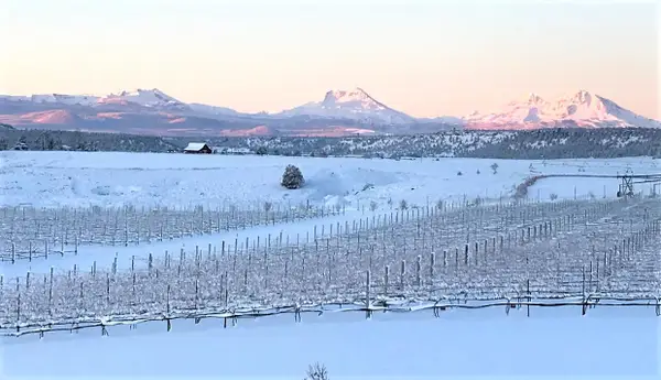 69900 NW Lower Valley Drive Nw, Terrebonne, OR 97760