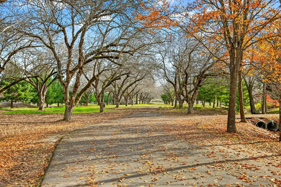 5650 Kane Creek Road, Central Point, OR 97502 - #3